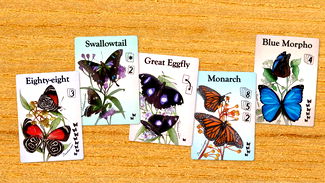 Fluttering Souls