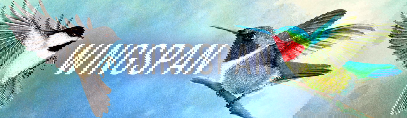 Wingspan