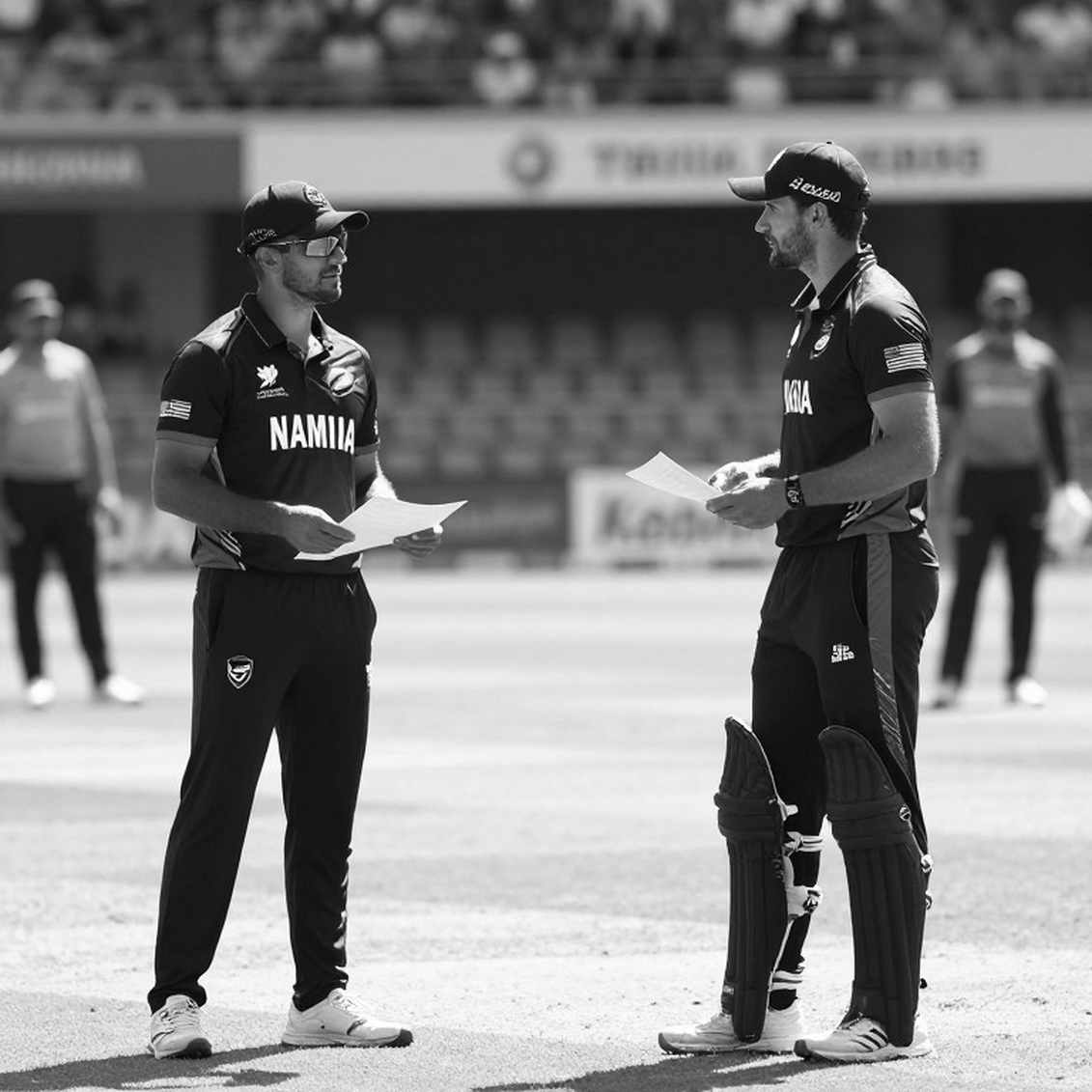 খালি স্প্রেডশিটের রিপোর্ট: ক্রিকেট বিশ্লেষণে ‘নাল রেজাল্ট’-এর শৃঙ্খলা