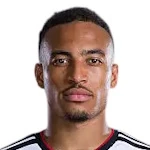 জেমি লেভেলিং